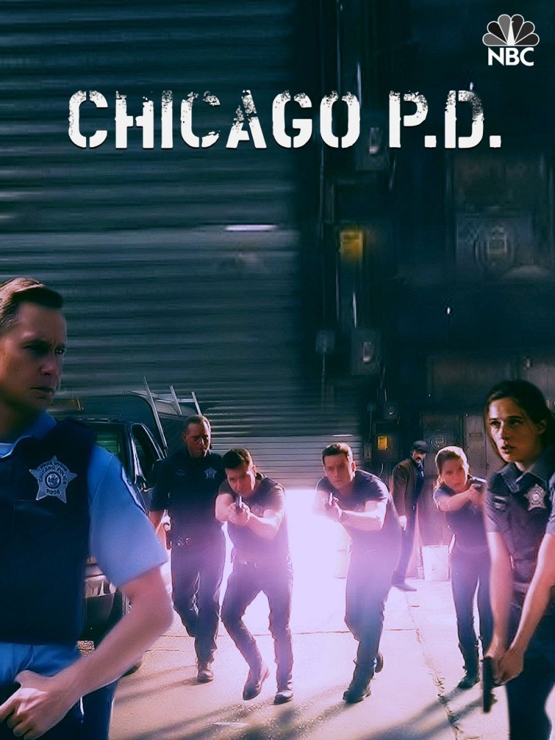Čikagos policija (3 Sezonas)
