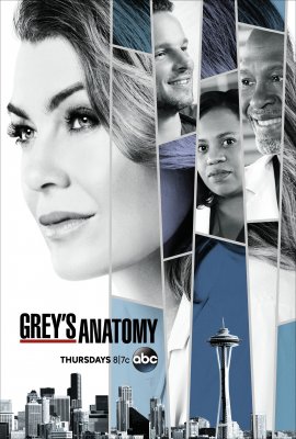 Grey anatomija (15 Sezonas) / Grey's Anatomy (Season 15) 2018 online