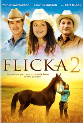 Flika 2 / Flicka 2 (2010)