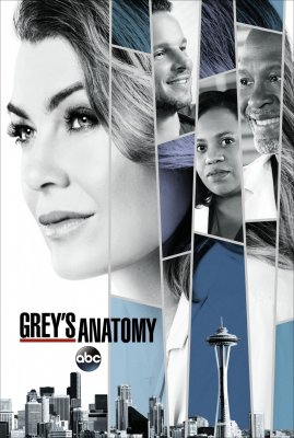 Grey anatomija (14 Sezonas)